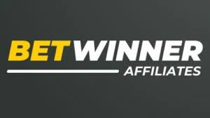 Everything You Need to Know About Betwinner conexion
