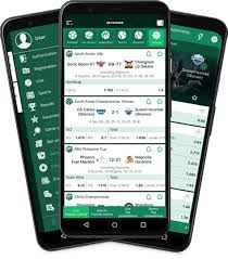 The Rise of Casa de Apuestas Betting Trends and Insights