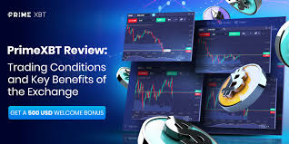 Unlocking Potential A Comprehensive Guide to PrimeXBT Exchange